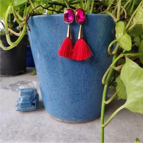 Rani Earrings with Tassles - Picture 2 of 2